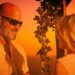 Boda al atardecer en Gran Canaria. Una pareja de el "si quiero" frente al mar bajo un arco nupcial