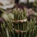 Ringe in der Natur