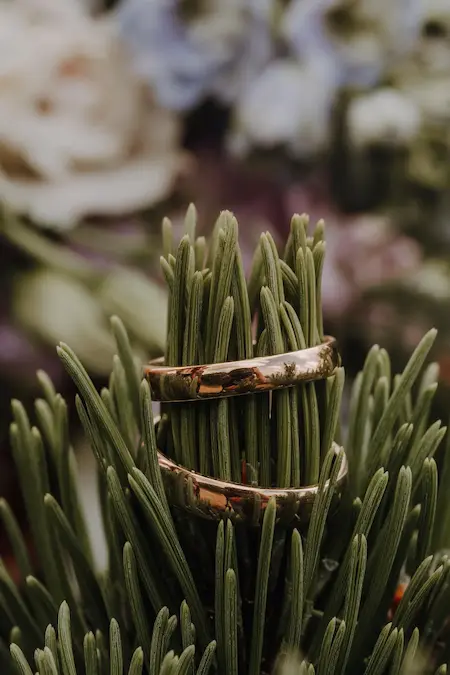 Ringe in der Natur