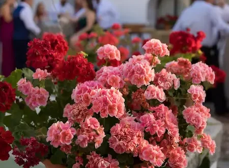 Bunte Blumen